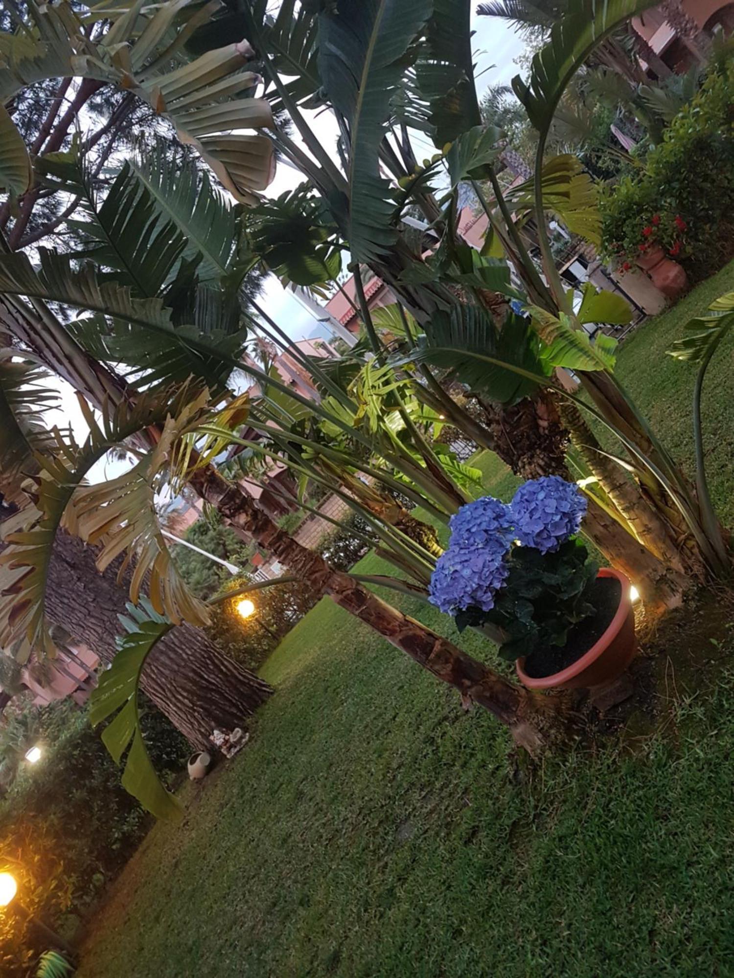 פורנרי Villetta Nella Baia מראה חיצוני תמונה